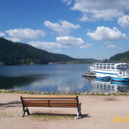 House With Terrace Near The Lake Gérardmer Exterior photo